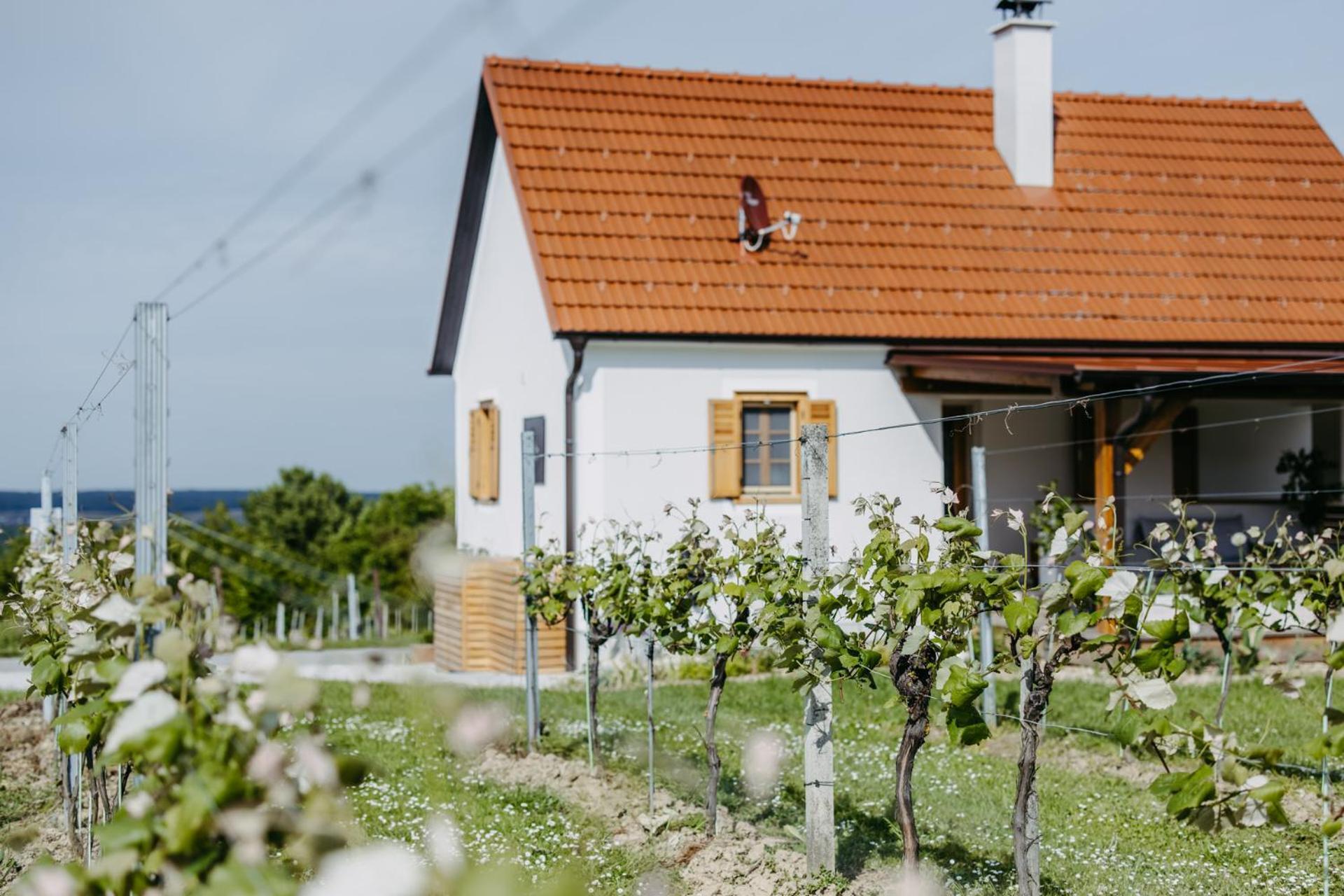 Urlaub Im Kellerstoeckl Dunst Appartement Strem Kamer foto