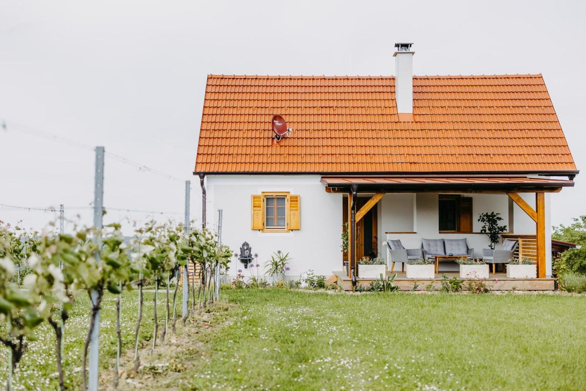 Urlaub Im Kellerstoeckl Dunst Appartement Strem Kamer foto
