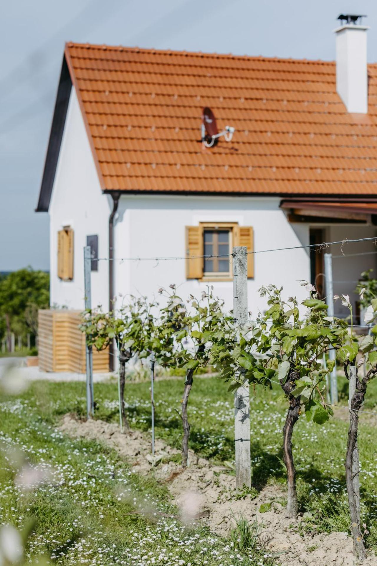 Urlaub Im Kellerstoeckl Dunst Appartement Strem Kamer foto