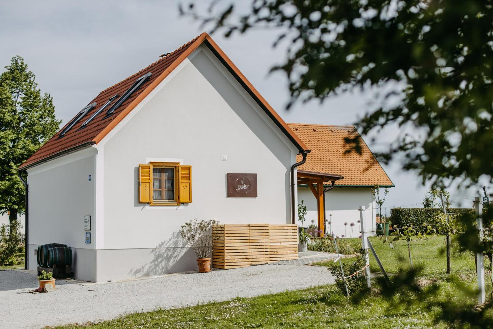 Urlaub Im Kellerstoeckl Dunst Appartement Strem Kamer foto